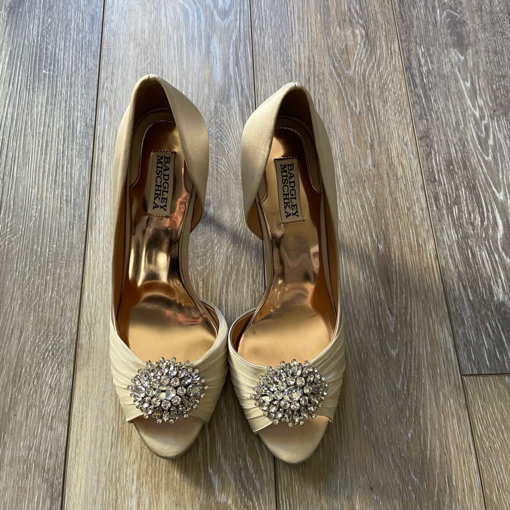Badgley Mischka shoes 👠